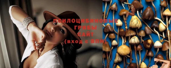 круглые Алзамай