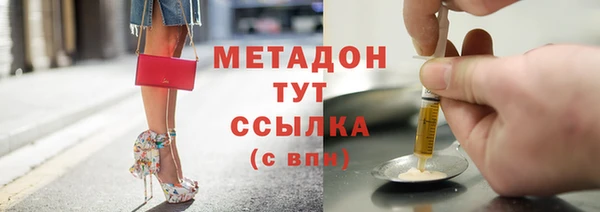 прущие грибы Валуйки