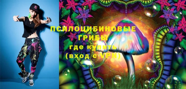 круглые Алзамай