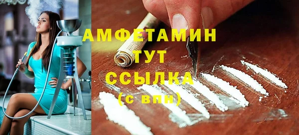 гидра Алексеевка