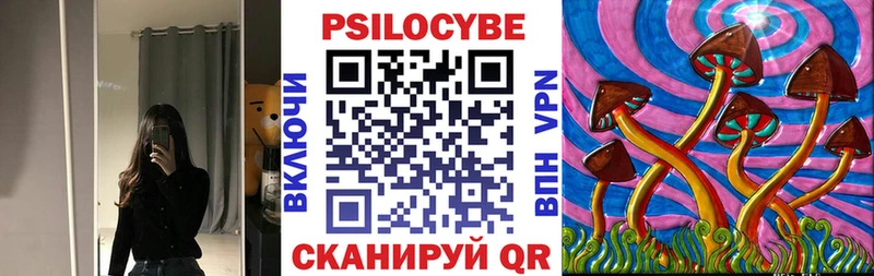 Галлюциногенные грибы Cubensis  shop Telegram  Пущино  как найти закладки 